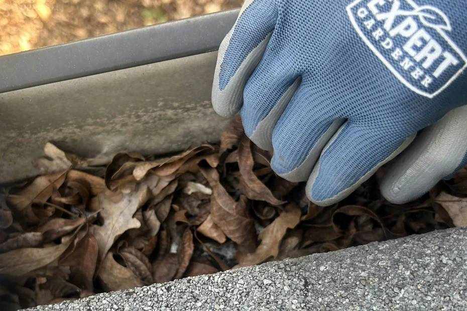 Gutter Cleaning Braselton