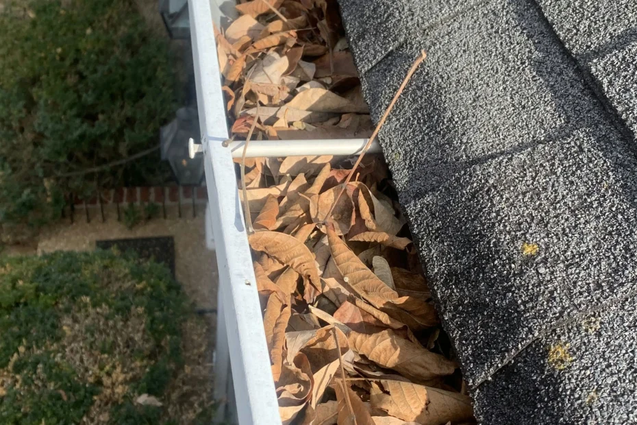 Gutter Cleaning Braselton