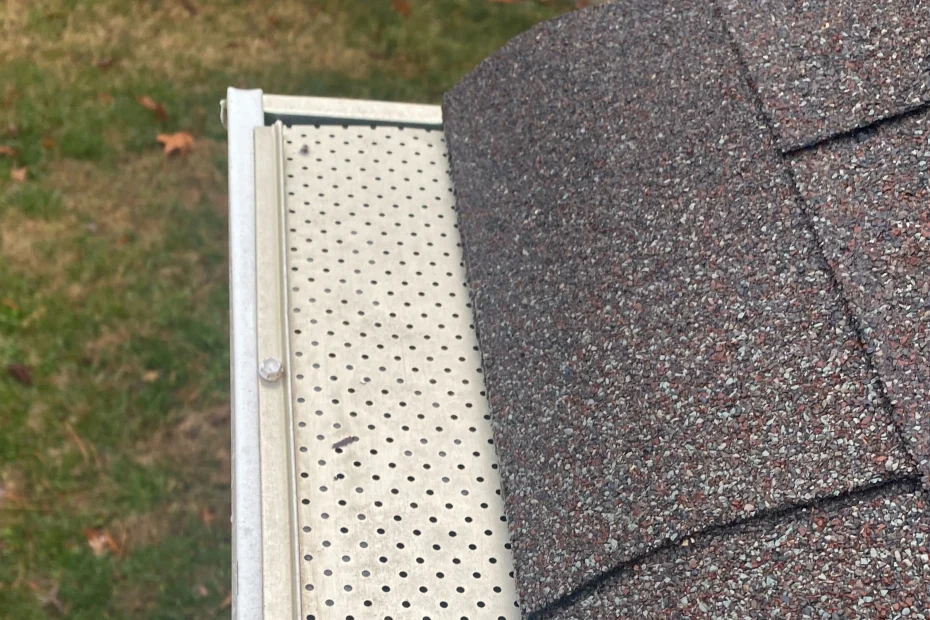 Gutter Cleaning Braselton