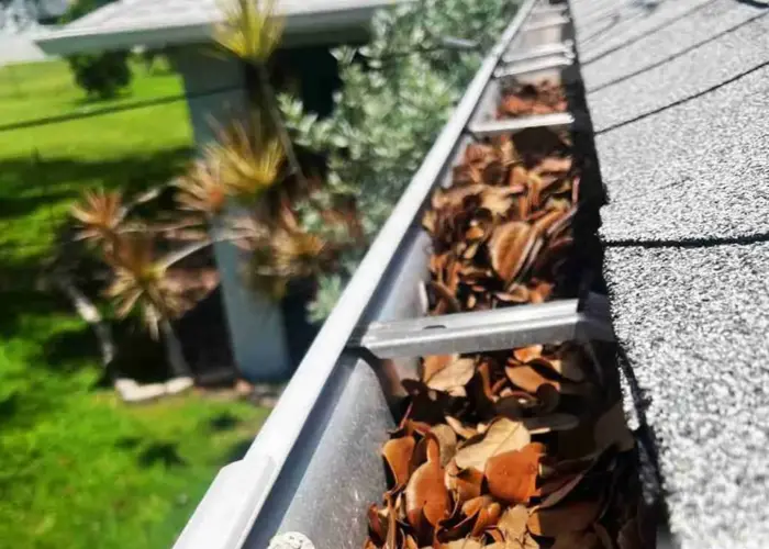 Gutter Cleaning Braselton home page